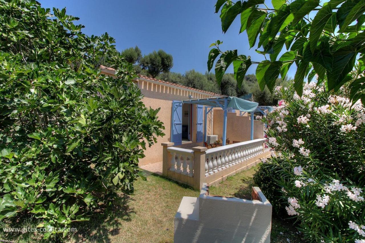 L'Amandier -Le Figuier-Les Lauriers Roses Ajaccio  Exterior photo